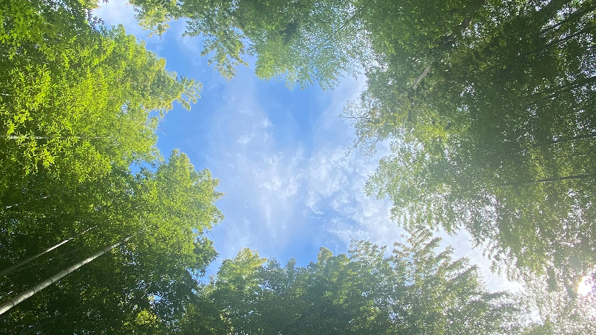 VIEW SALON ビューサロン